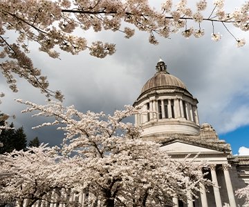 15 Most Romantic Places to Propose in Washington State