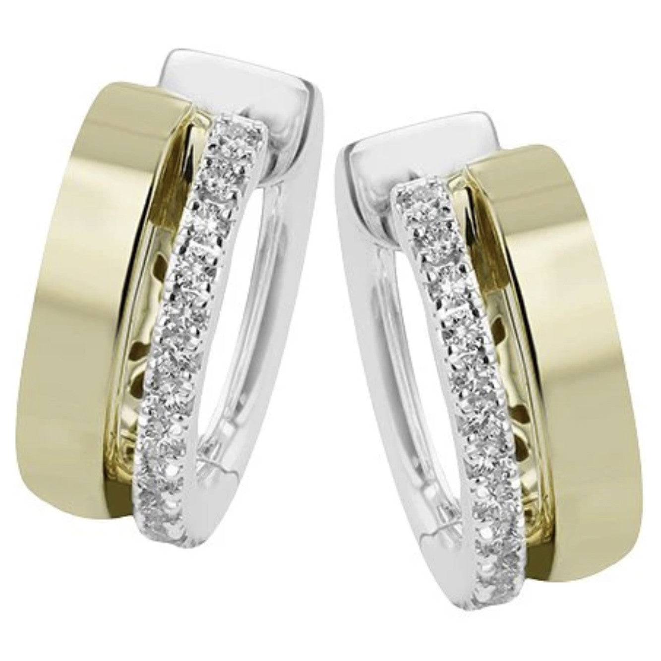 Contemporary Earrings