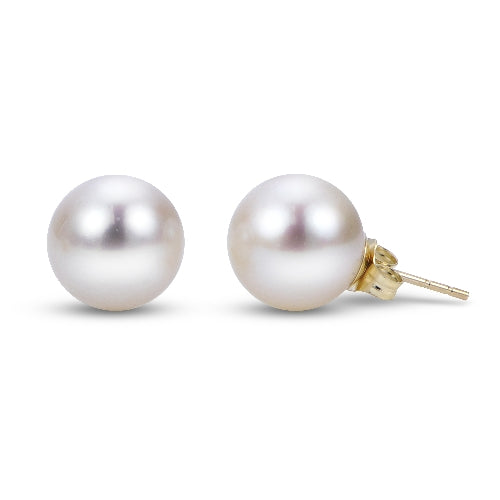 14K Yellow Gold Cultured Freshwater Pearl Stud Earrings
