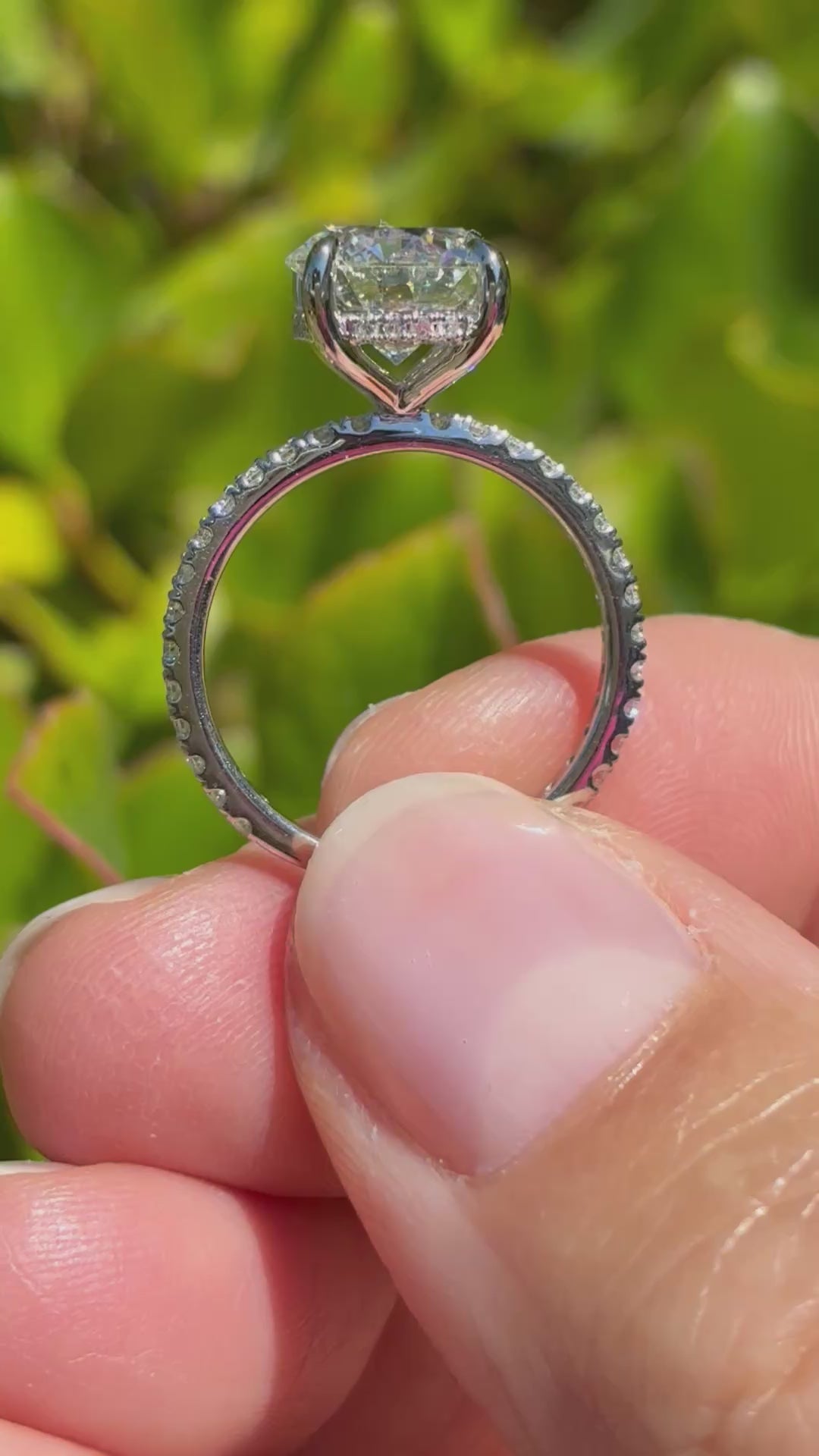 Ben Garelick White Gold Sargus Classic Large Center Round Diamond Shared Prong Engagement Ring