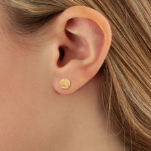 Load image into Gallery viewer, Ben Garelick 14K Yellow Gold Seashell Earrings
