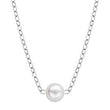 Load image into Gallery viewer, Ben Garelick 16&quot; 14K White Gold 5 MM &quot;Add-A-Pearl&quot; Cultured Pearl Necklace
