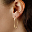 Load image into Gallery viewer, Ben Garelick Classic Gold Large Hoop Earrings
